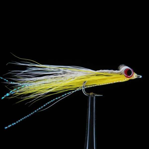 Streamer from Bone Fish and Cheppie 37