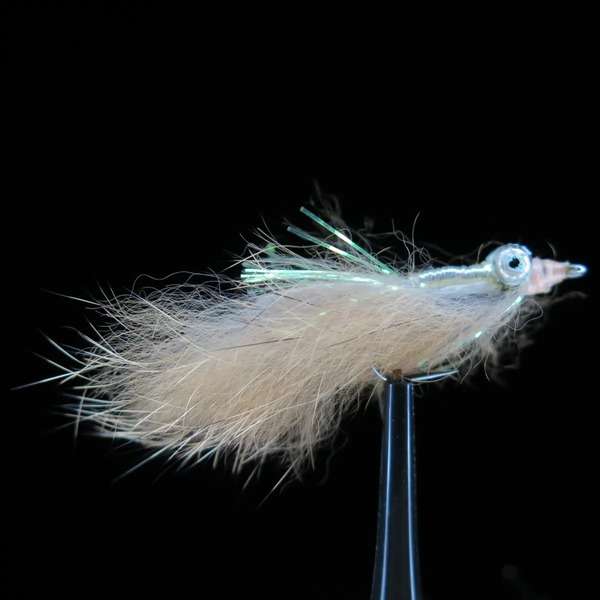 Streamer from Bone Fish and Cheppie 38
