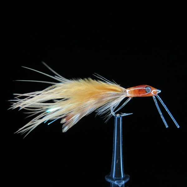 Streamer from Bone Fish and Cheppie 39
