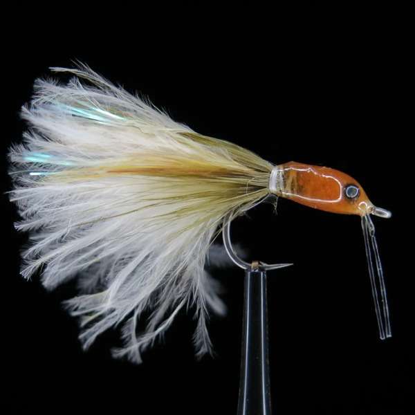 Streamer from Bone Fish and Cheppie 41