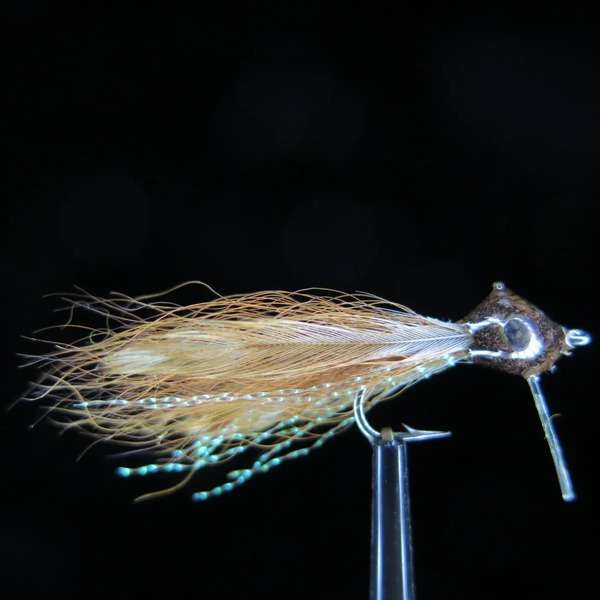 Streamer from Bone Fish and Cheppie 43