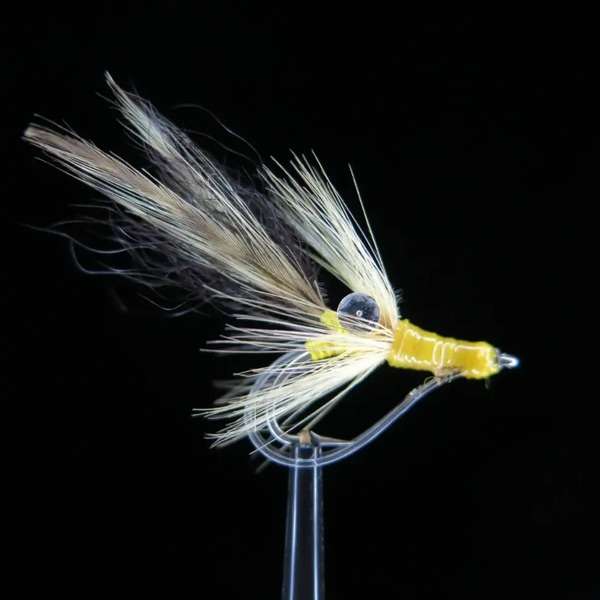 Streamer from Bone Fish and Cheppie 44