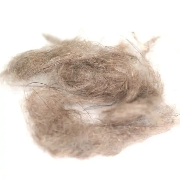 MUSK RAT DUBBING