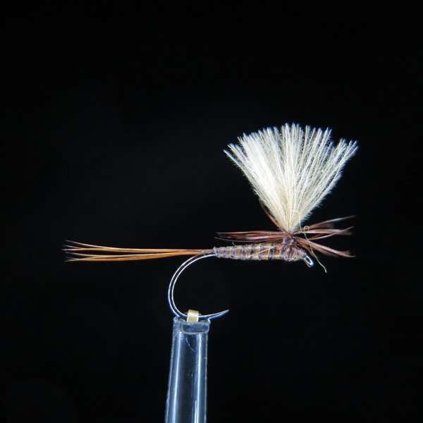 FTW QUILL PARACHUTE BROWN