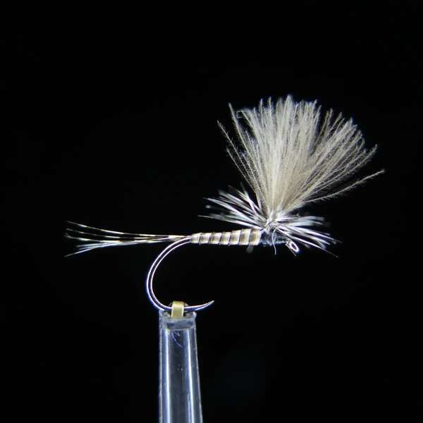 FTW QUILL PARACHUTE NATURALE