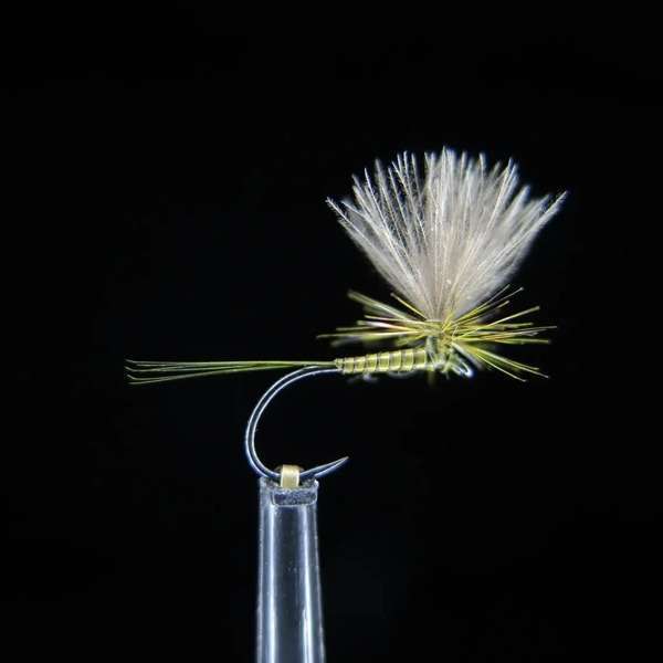 FTW QUILL PARACHUTE OLIVE