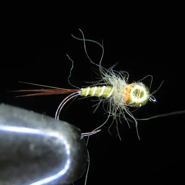 RIBNIK 1
