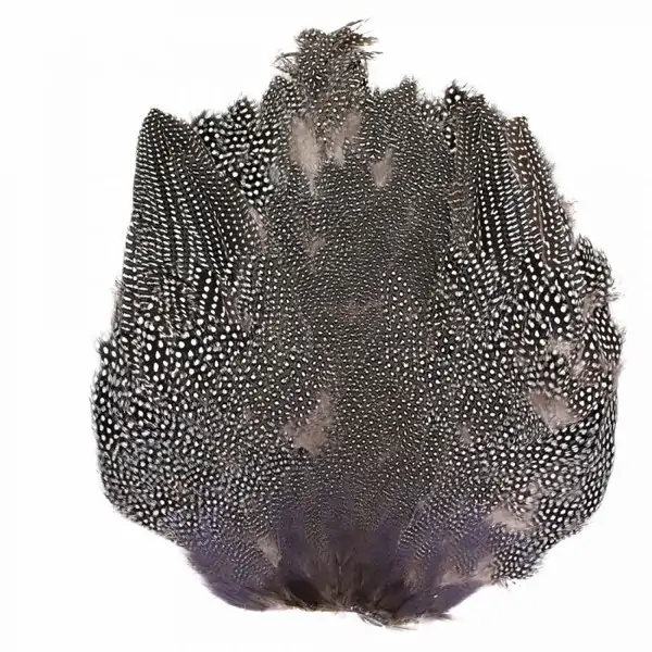 GUINEA FOWL SKIN
