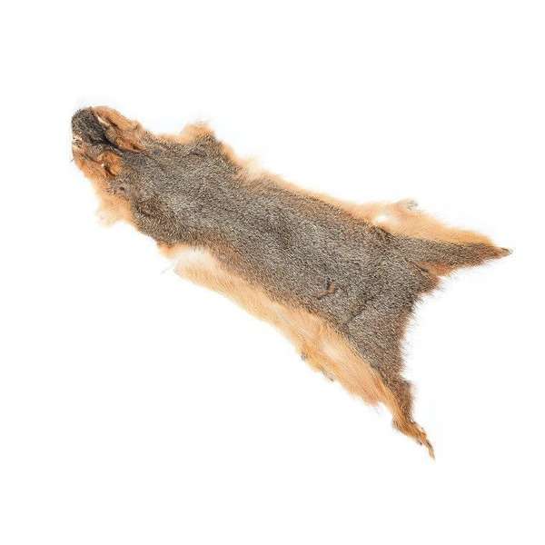 SQUIRREL SKIN