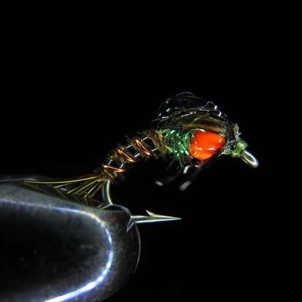 TRINA'S BUBBLEBACK EMERGER BWO