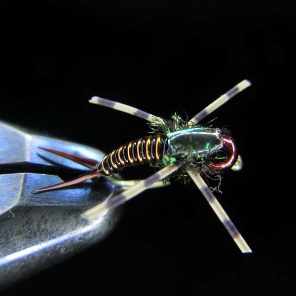 COPPER BOB 01