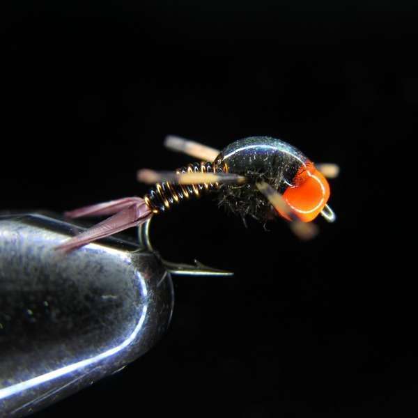 COPPER BOB
