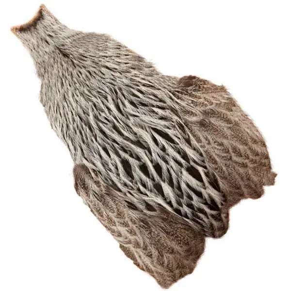 HEN BRAHMA CAPE