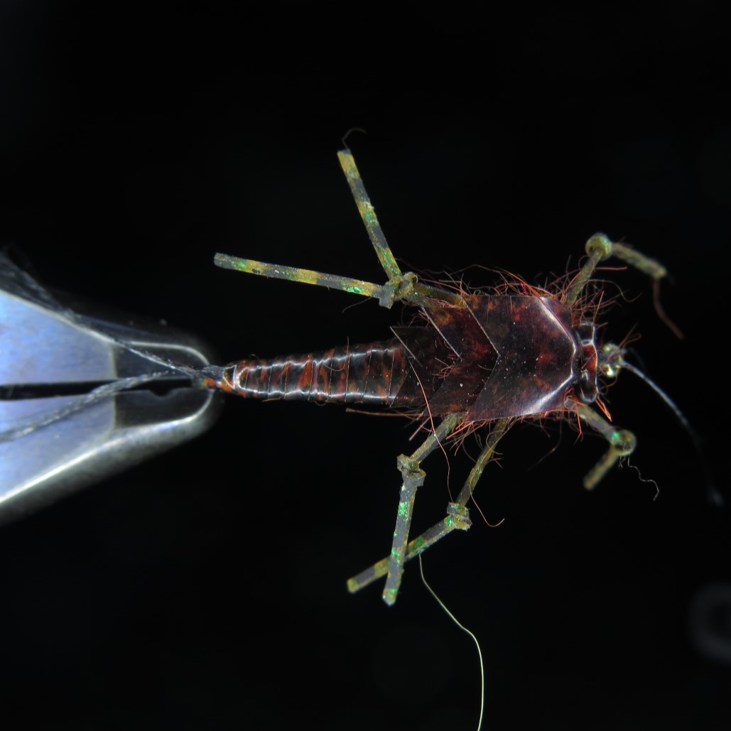 FTW BIG NYMPH 03