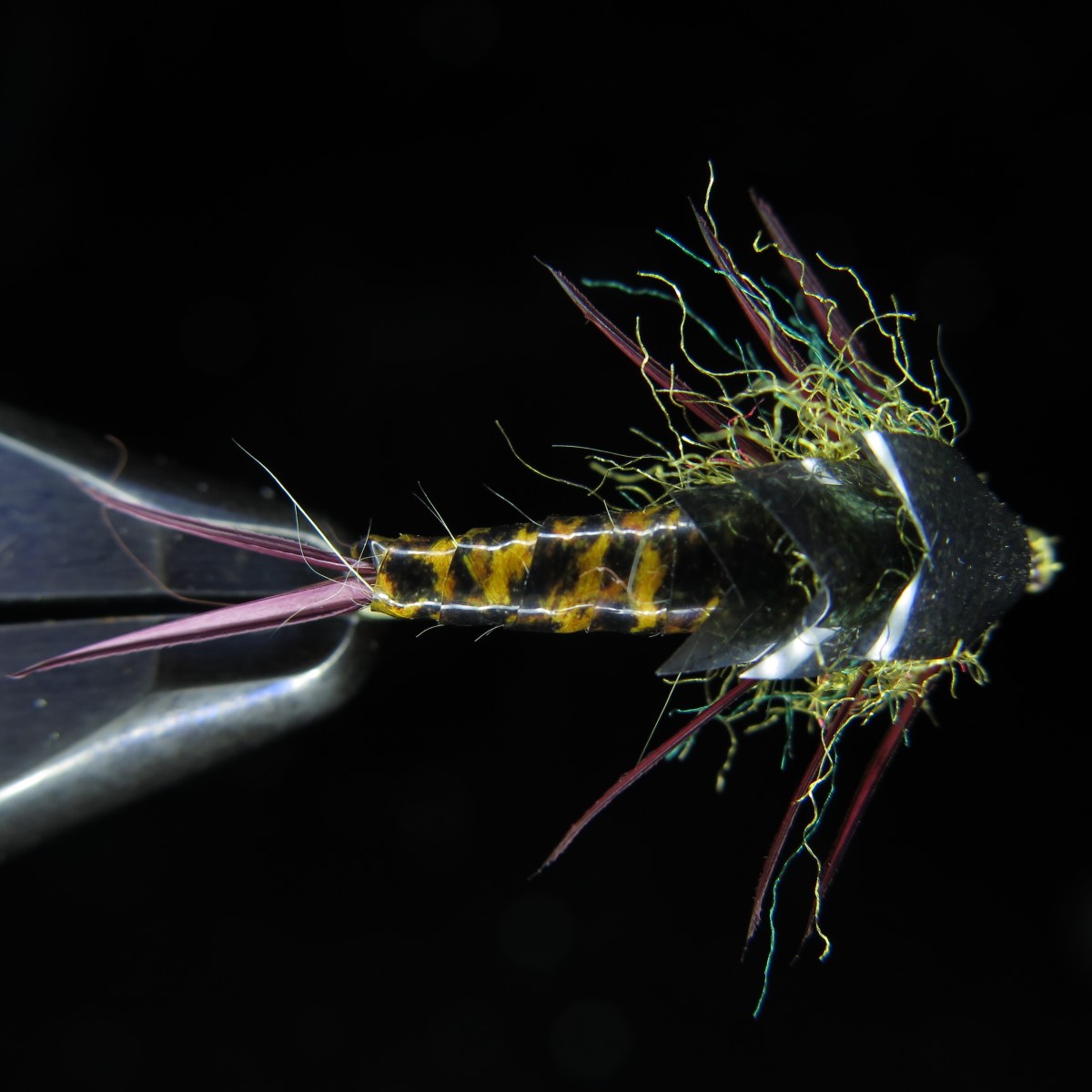 FTW BIG NYMPH 10