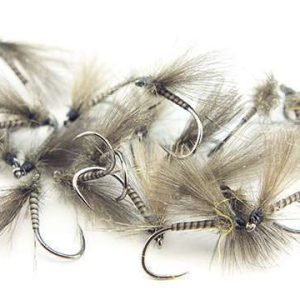 STRIPPED PEACOCK