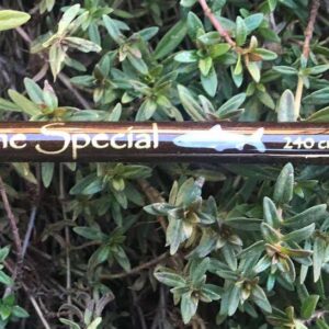 COREGONE SPECIAL 240