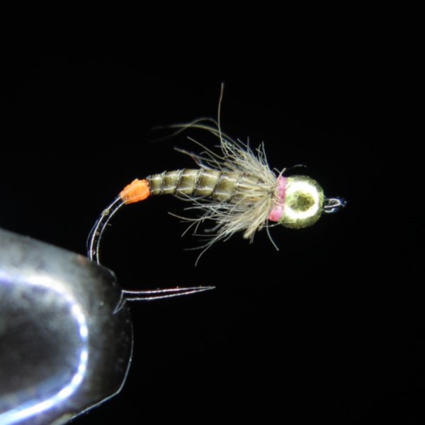 QUILL GRAYLING NATURALE