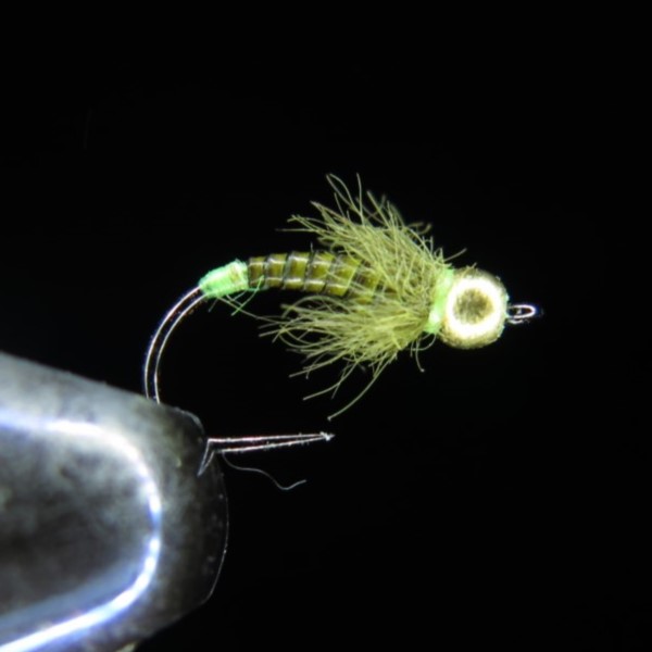 QUILL GRAYLING OLIVE