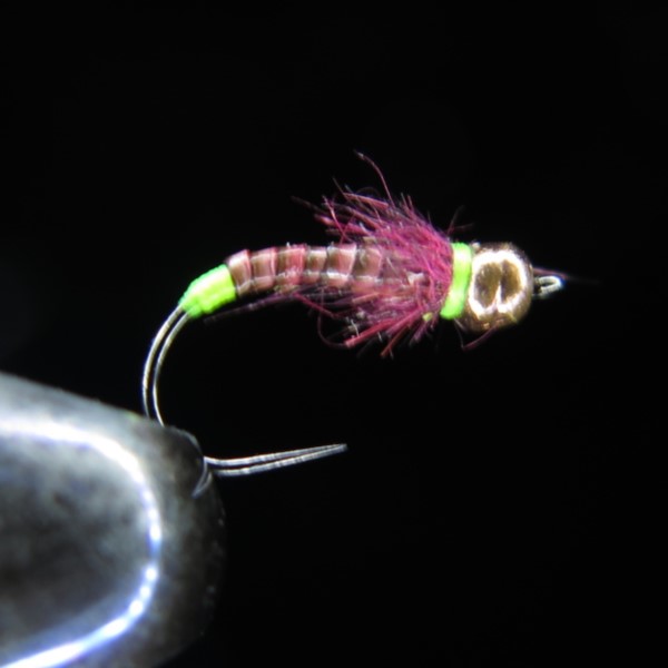 QUILL GRAYLING RED