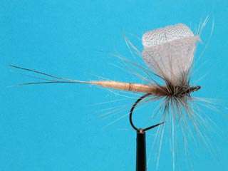 TUBE EXTENDED BODY MAY FLY