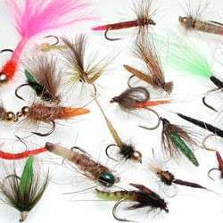 TUBE EXTENDED BODY CADDIS